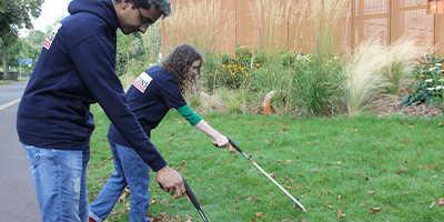 Litter Picks