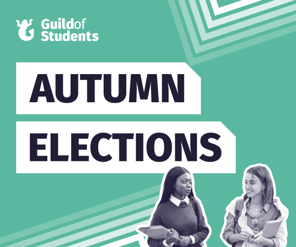 Guild Elections