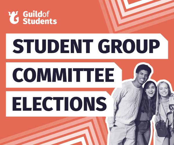 Guild Elections
