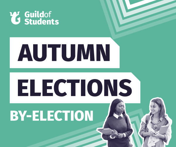 Guild Elections