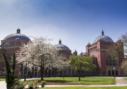 Universities & Higher Education